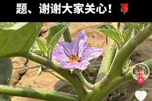 伊森：我从小就被灌输必须努力打球 我还未恢复100%健康